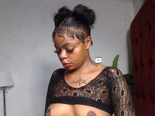 dolly360