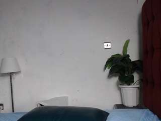 dolly360