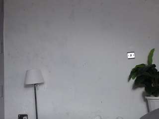 dolly360