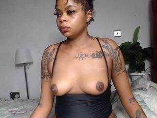 dolly360