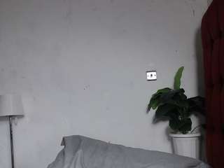 dolly360