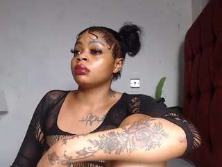 dolly360