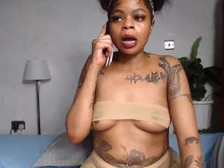 dolly360
