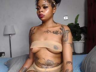 dolly360