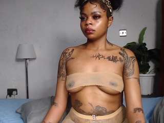 dolly360
