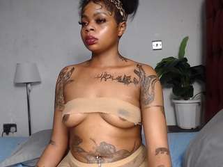 dolly360