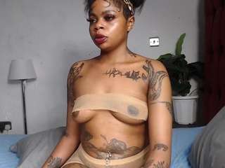 dolly360