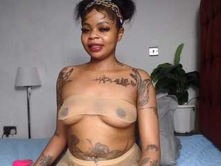 dolly360
