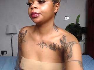 dolly360