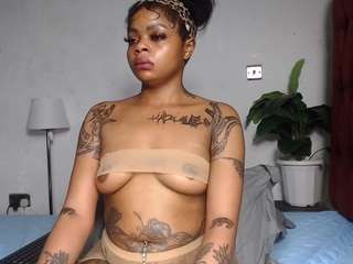 dolly360