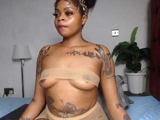 dolly360
