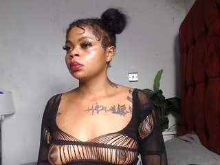 dolly360