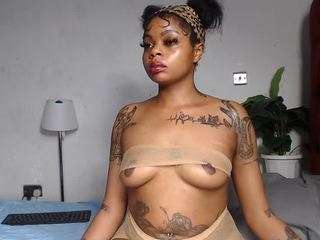 dolly360
