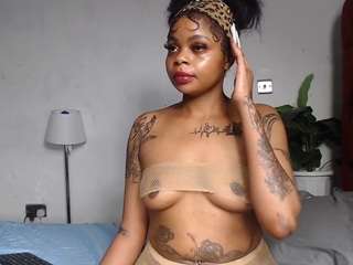dolly360
