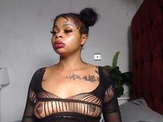 dolly360