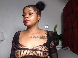 dolly360