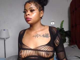 dolly360