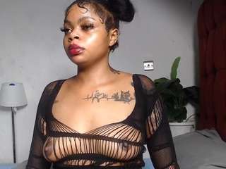 dolly360