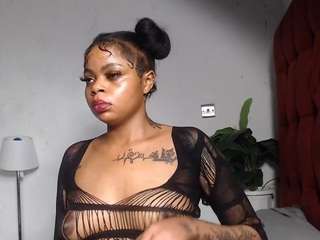 dolly360
