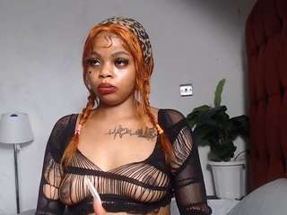 dolly360