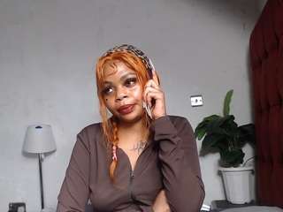 dolly360