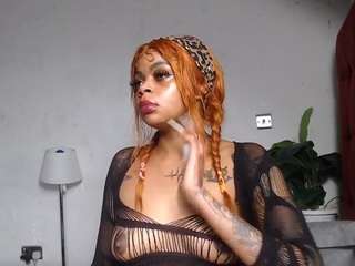 dolly360