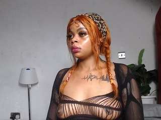 dolly360