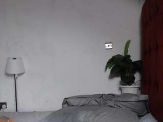 dolly360