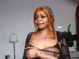 dolly360