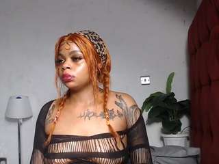 dolly360