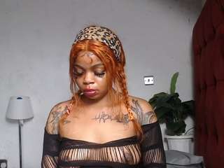dolly360