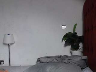 dolly360