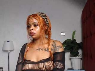 dolly360