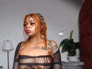dolly360