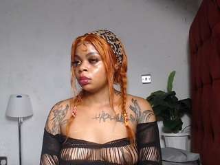 dolly360