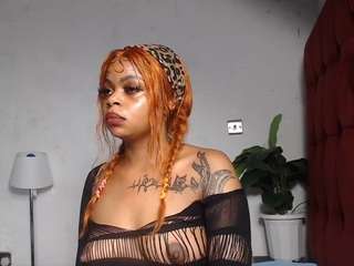 dolly360