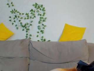  littlechips chat room