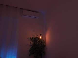 radiantluna