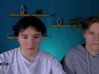 klaus-rice webcam model