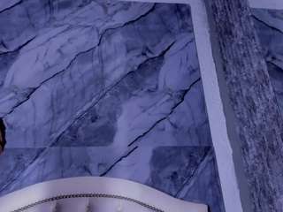 bry-dalton webcam model