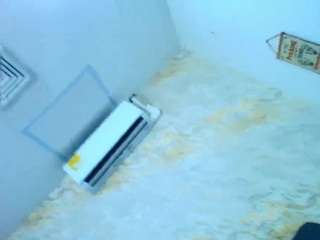 sofiaalittleglee Live Webcam on CamSoda