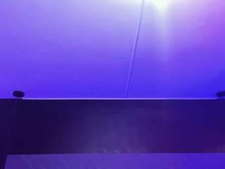 arcangel-harris Live Webcam on CamSoda