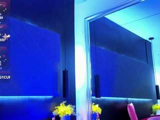 arcangel-harris webcam