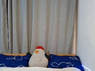 rossiefontecchio webcam