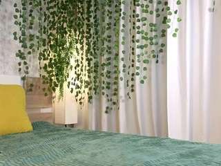 viollaboom's CamSoda show and profile