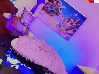 snow-kiim webcam model