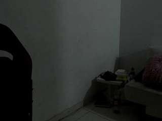 vipgroup webcam model