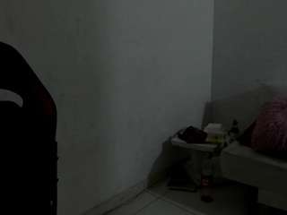 vipgroup webcam model