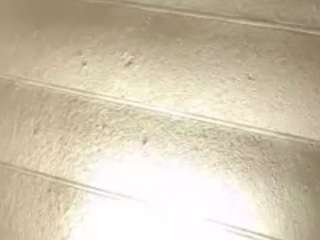 dvsshoes12