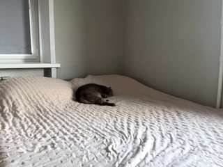 karmaalmand's CamSoda show and profile